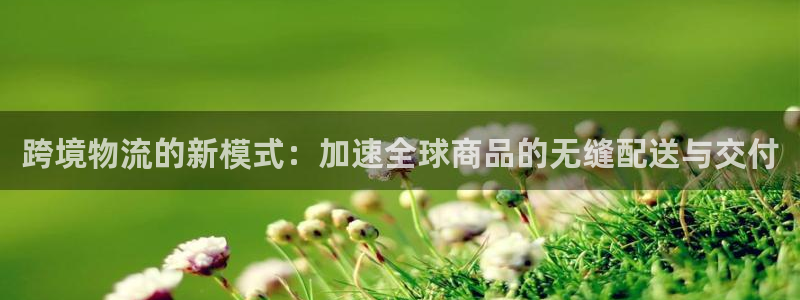 南宫,优游国际官网：跨境物流的新模式