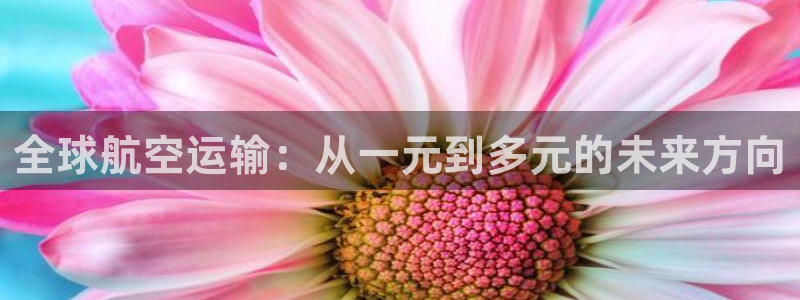 ,优游国际登录流程：全球航空运输：从一元到多元的未来方向
