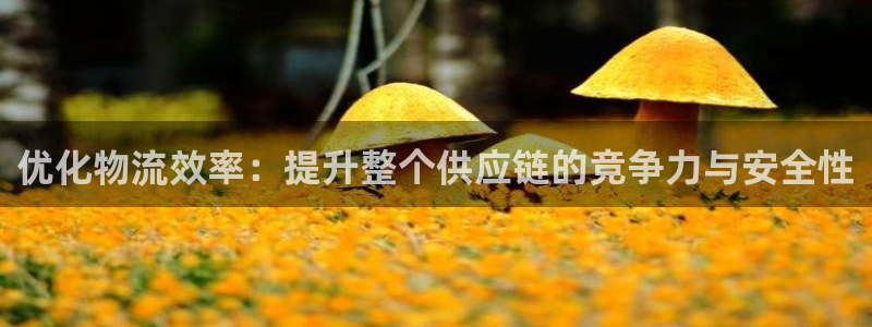 ,优游国际链接来一个：优化物流效率：