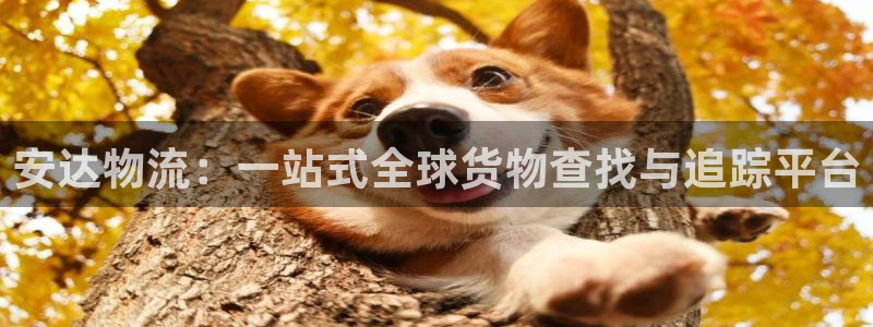 ,优游国际注册：安达物流：一站式全球