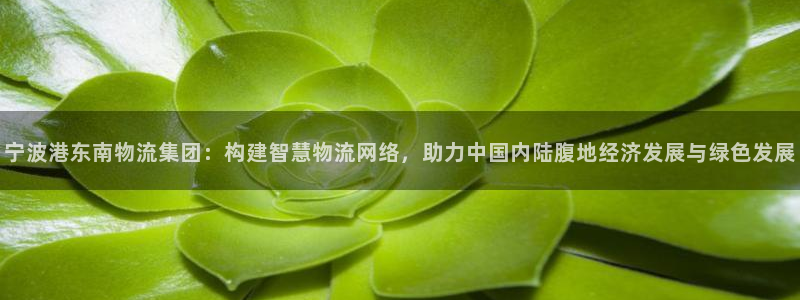 优游国际官网入口pc29官网版下载：