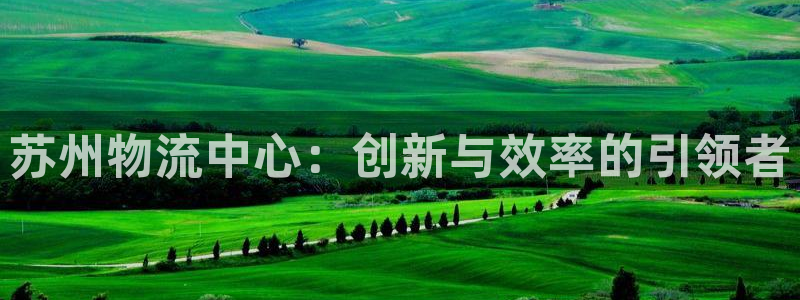 ,优游国际网赌案件：苏州物流中心：创