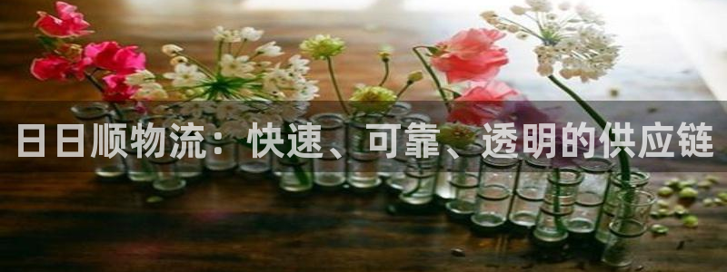 优游国际官网入口官网：日日顺物流：快
