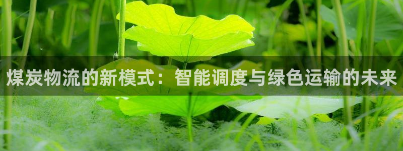 ,优游国际的平台：煤炭物流的新模式：