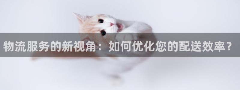 ,优游国际如何看计划：物流服务的新视