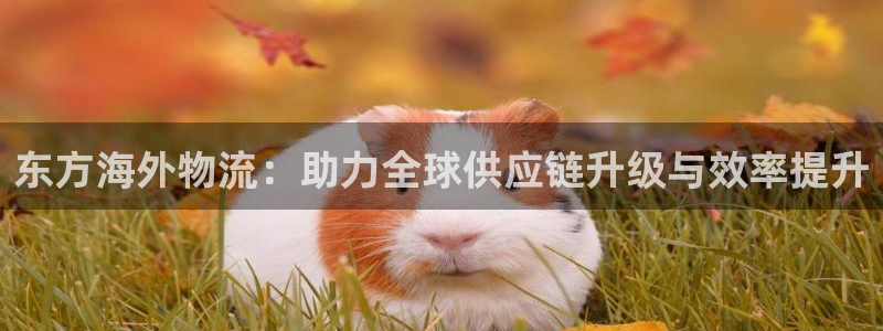 ,优游国际比特28真实吗：东方海外物