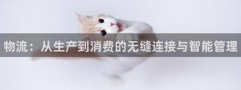 ,优游国际犯法吗：物流：从生产到消费的无缝连接与智能管理