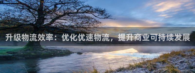 ,优游国际机器人是什么软件：升级物流