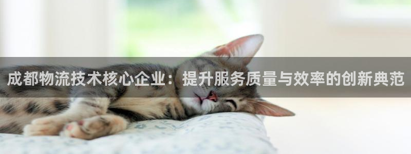 优游国际官方网站