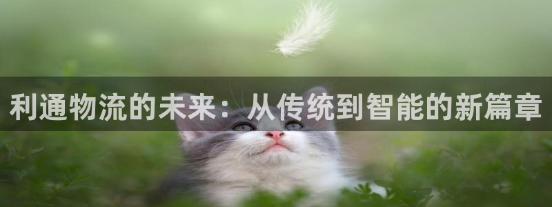 ,优游国际官网开奖结果预测：利通物流