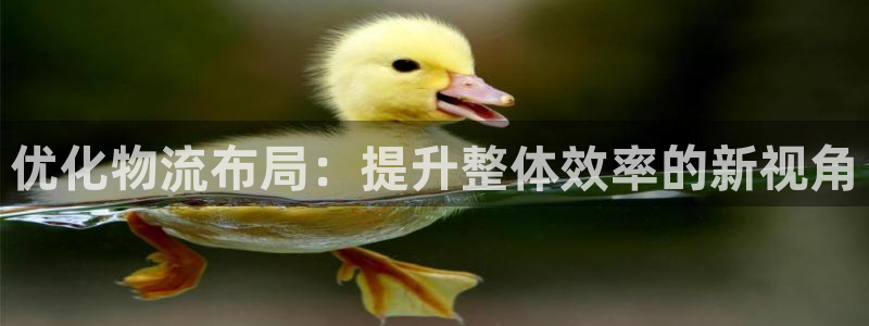 ,优游国际预测加拿大师准:优化物流布