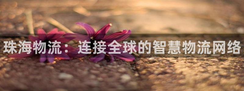 南宫,优游国际怎么注册：珠海物流：连