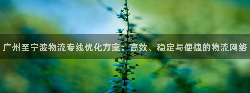 ,优游国际为什么打不开：广州至宁波物