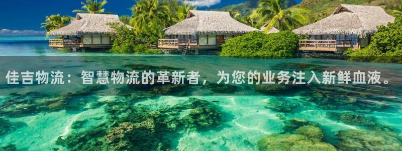 ,优游国际体育下载：佳吉物流：智慧物