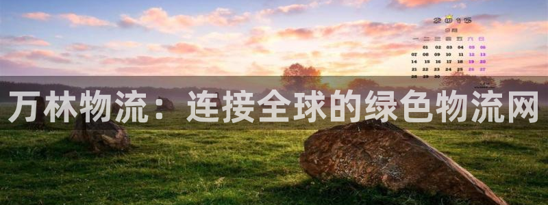 ,优游国际官网平台：万林物流：连接全