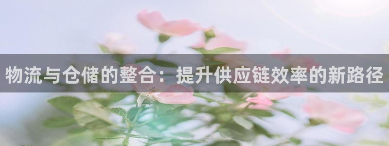 ,优游国际p扣除是什么意思：物流与仓