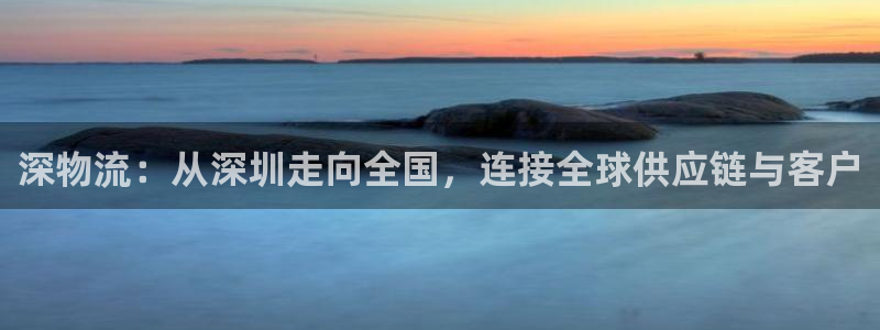 ,优游国际是啥：深物流：从深圳走向全