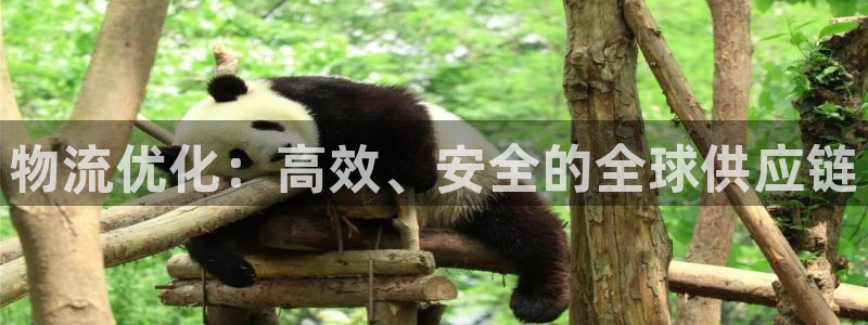 ,优游国际提现不到账：物流优化：高效