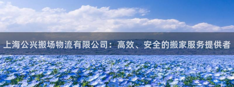 ,优游国际分分28预测：上海公兴搬场