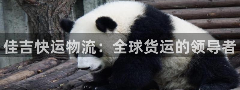 ,优游国际初始密码在哪里修改：佳吉快