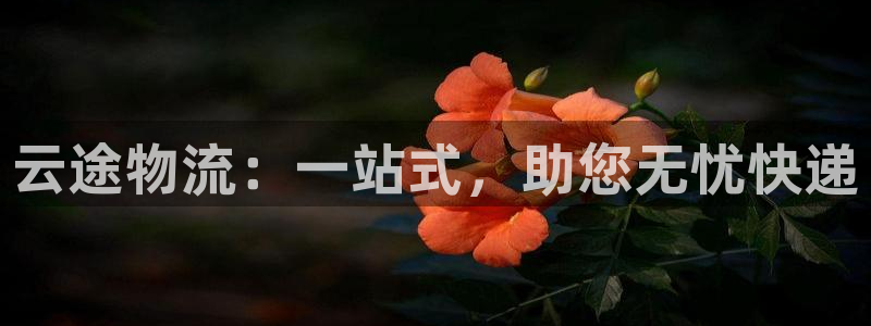 ,优游国际注册教程：云途物流：一站式