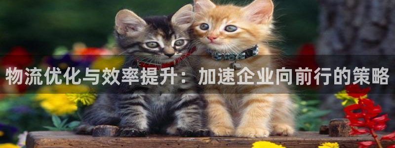 优游国际官网入口pc29官网版下载：