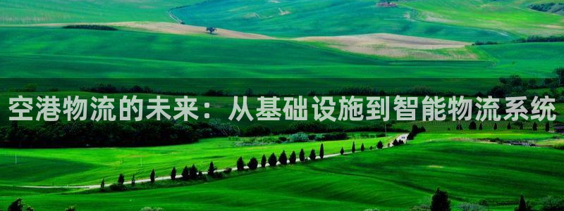 ,优游国际开奖预测：空港物流的未来：