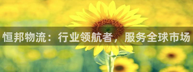 ,优游国际加拿大6.0：恒邦物流：行