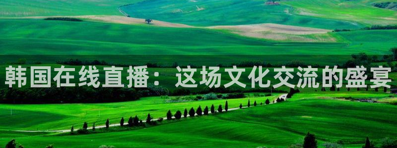 9255tv直播nba在线直播：韩国在线直播：这场文化交流的盛宴