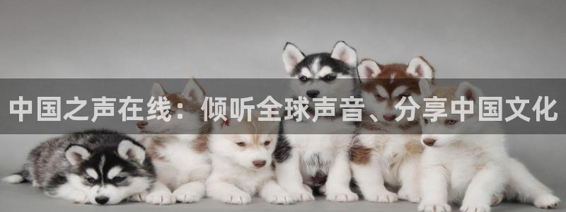 9255tv直播无插件nba：中国之声在线：倾听全球声音、分享中国文化