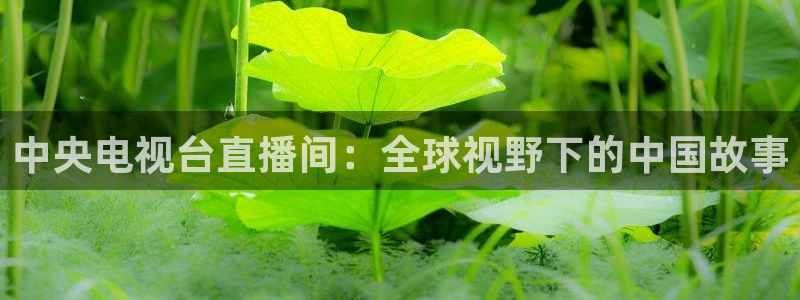 9255tv直播无插件nba：中央电视台直播间：全球视野下的中国故事